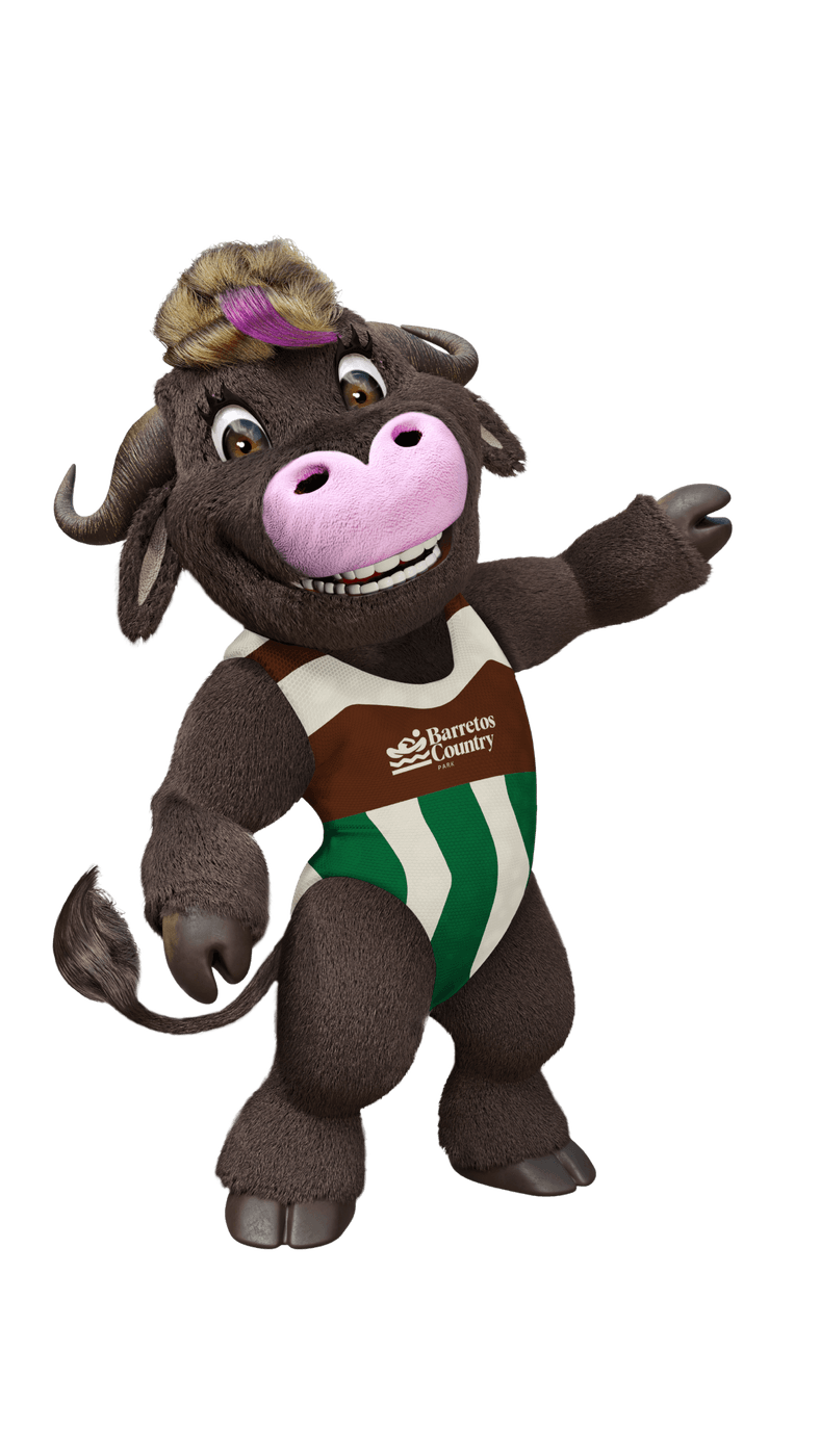 Xuxinha